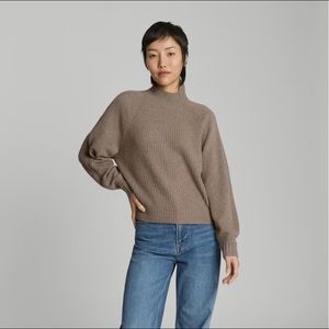 Everlane Recycled Cashmere Ribbed Turtleneck